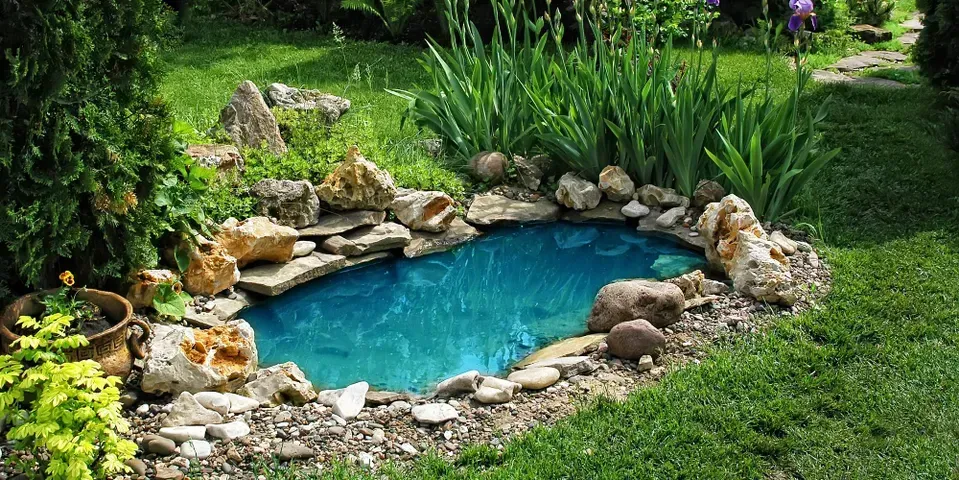 A small pond surrounded by rocks and plants in a garden.