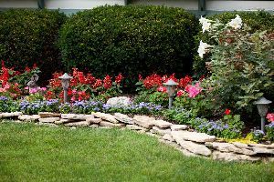 A garden filled with lots of flowers and rocks.