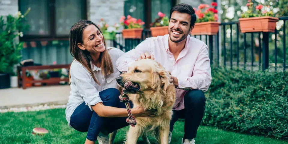 A man and a woman are petting a dog in their backyard.