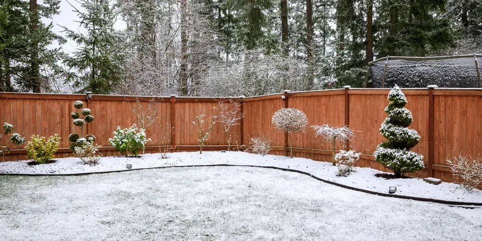 A backyard with a wooden fence and trees covered in snow.