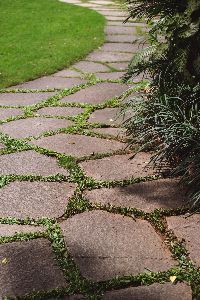 A stone walkway leading to a lush green lawn.