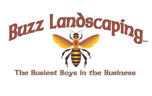 Buzz Landscaping Buzz Landscaping