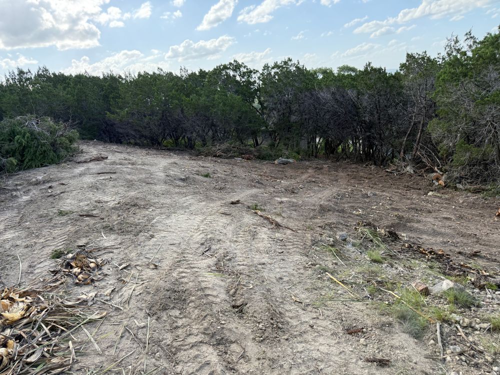 Sandy dirt clearing bordered by dense green shrubs under a partly cloudy sky