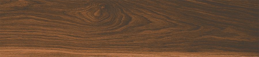 Daltile Goldenwood 20x90 ZGW7 Brown 1