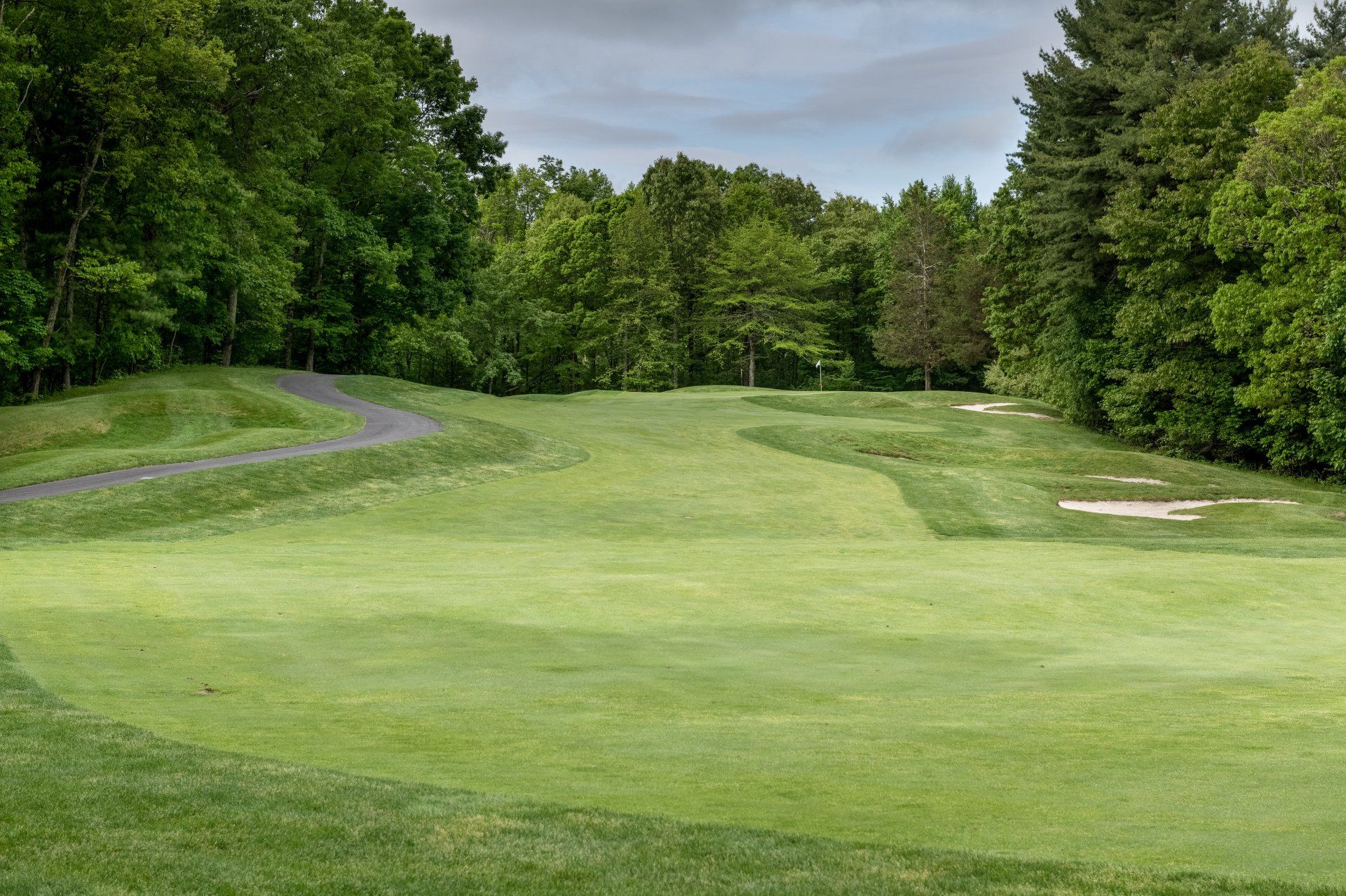 A golf course with a lot of green grass and trees in the background.