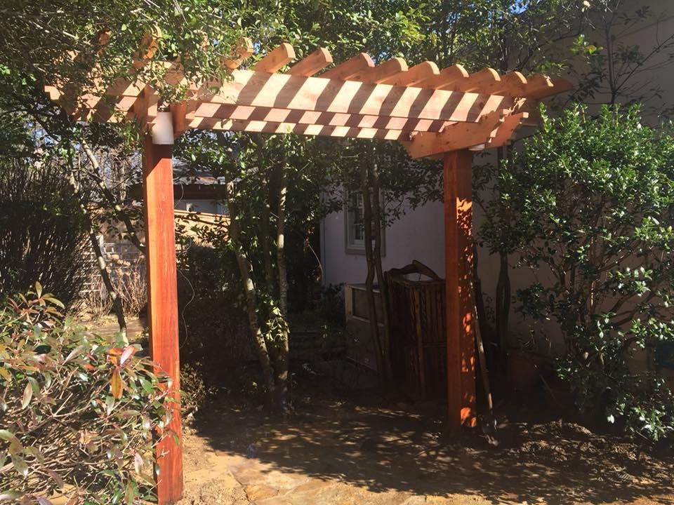 A wooden pergola is surrounded by trees and bushes