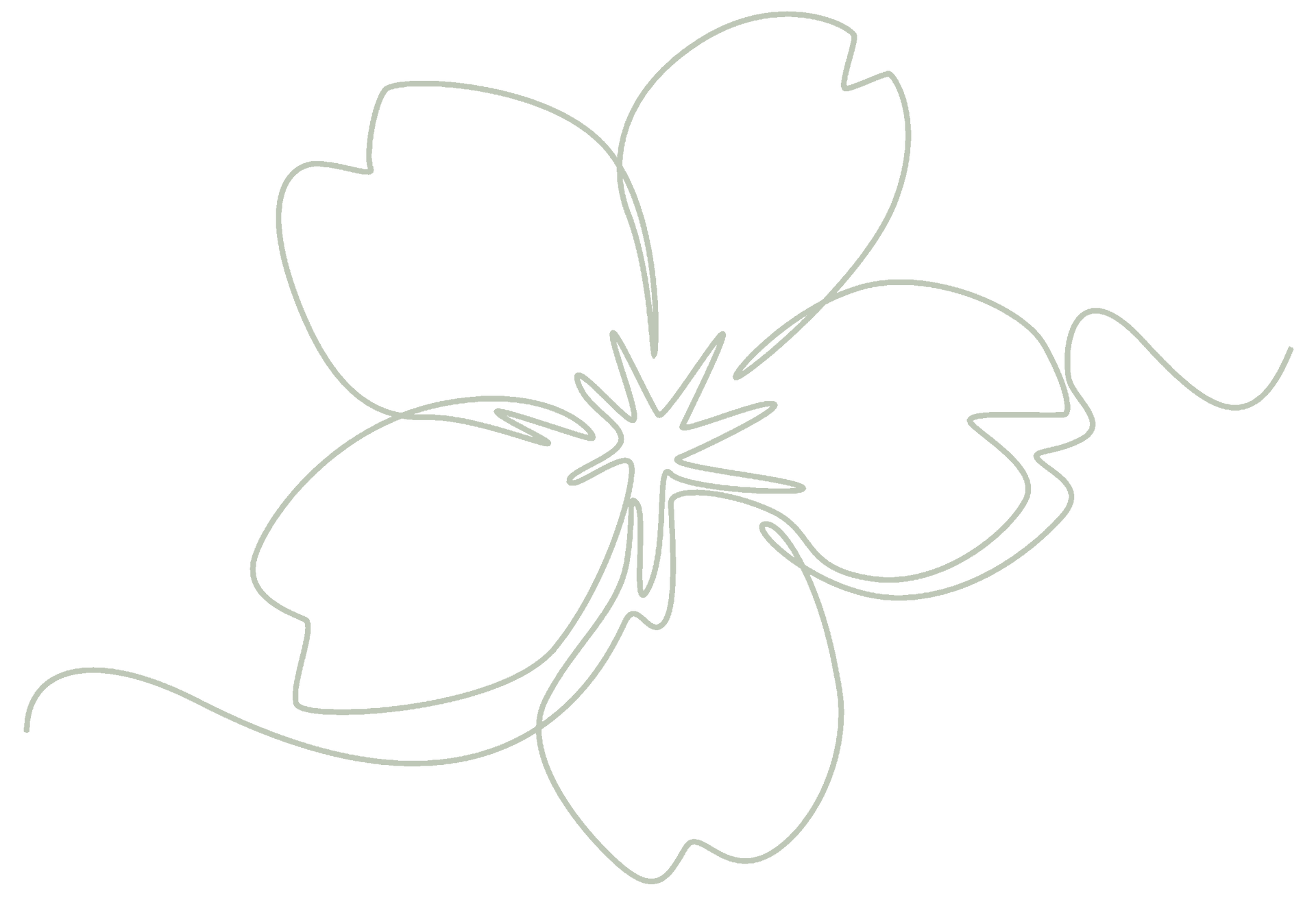 Schets van een bloem met vijf blaadjes en een gekrulde steel op een witte achtergrond.