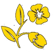 icona fiore