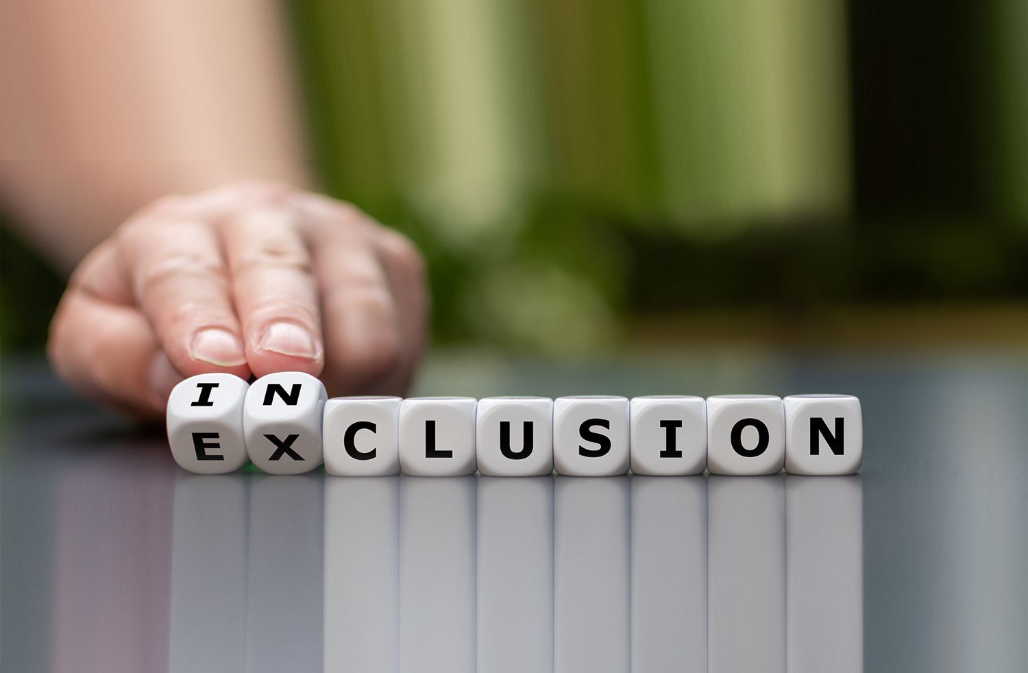 inclusion dice