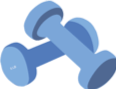 Weights Icon