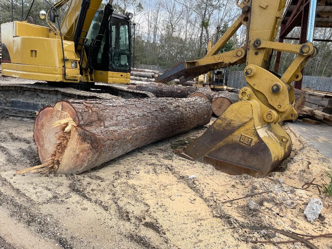 Tree Removal Slidell, LA Strecker Tree Service