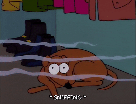 Santa's Little Helper, a brown dog, looks wide-eyed while sniffing inside a closet filled with shoes and hanging coats.