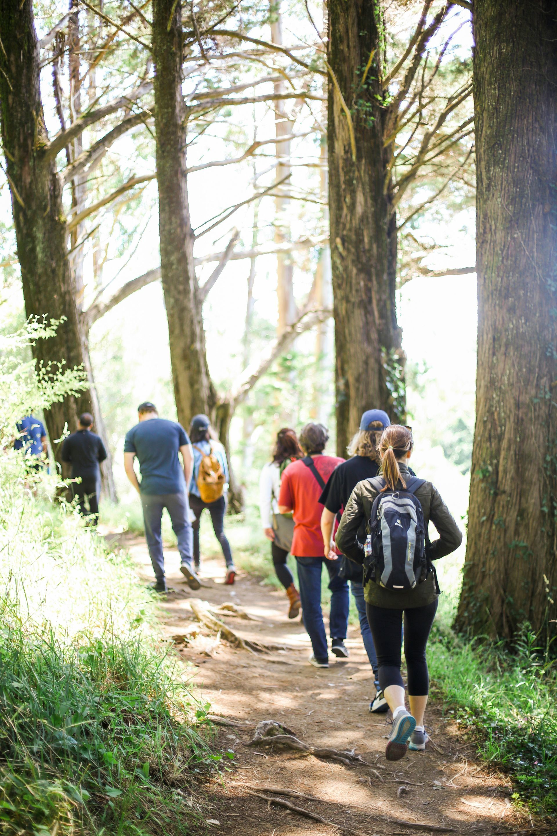 hiking meetup groups