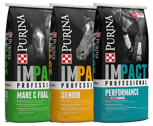 Three bags of purina impa impact professional performance horse food