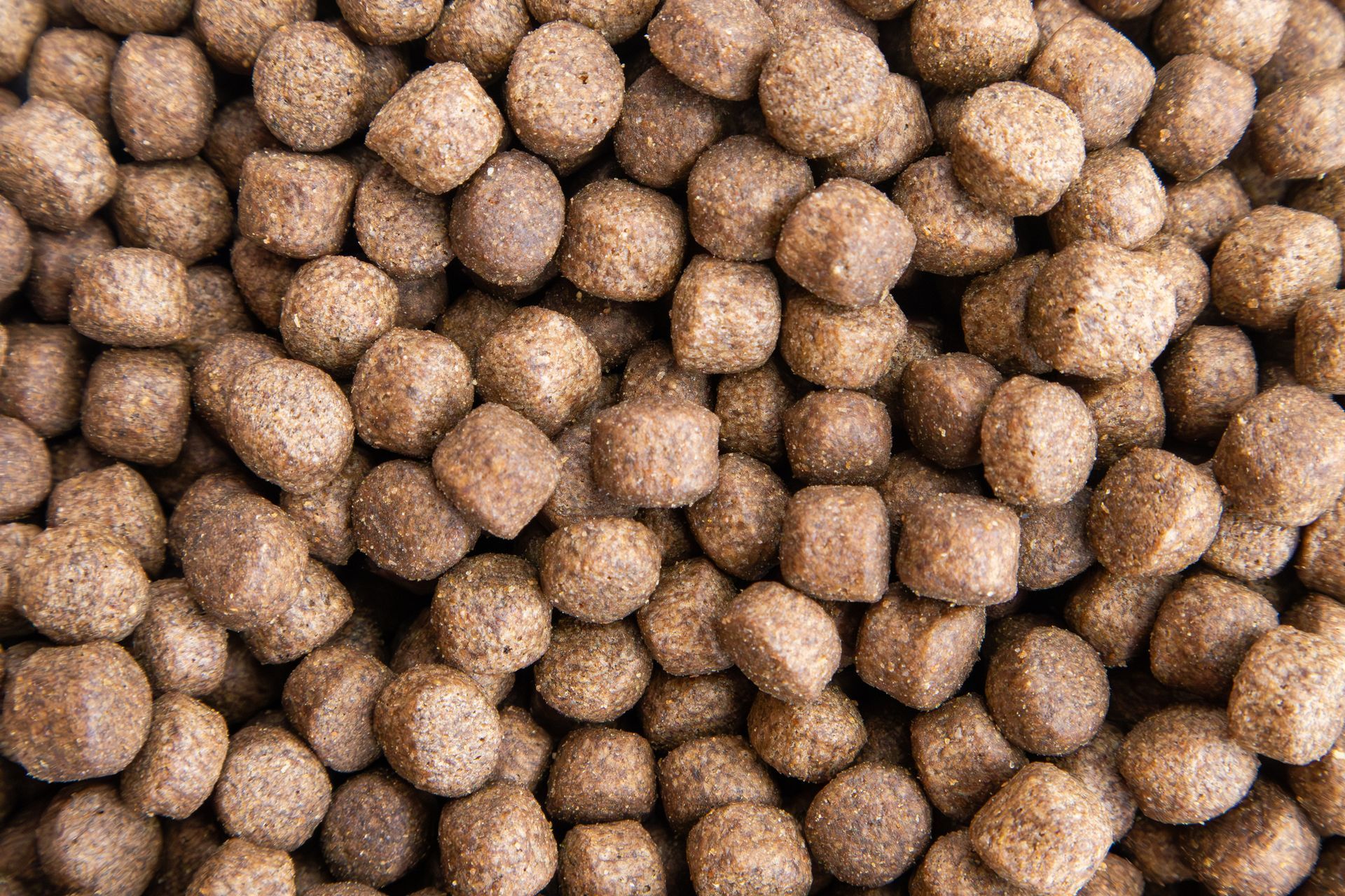 Close-up of dry brown pet food pellets stacked together.