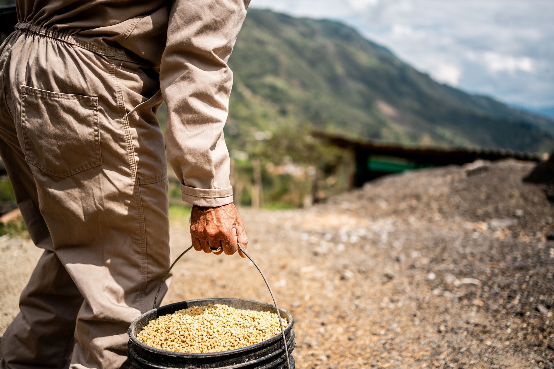 Person carrying a bucket of pet food on a farm. Person carrying a bucket of pet food on a farm.