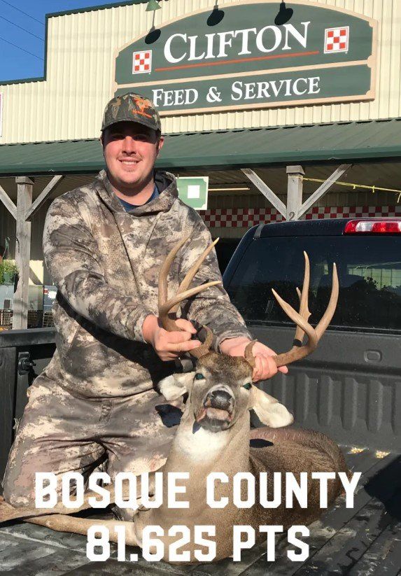 A man is holding a deer in the back of a truck.
