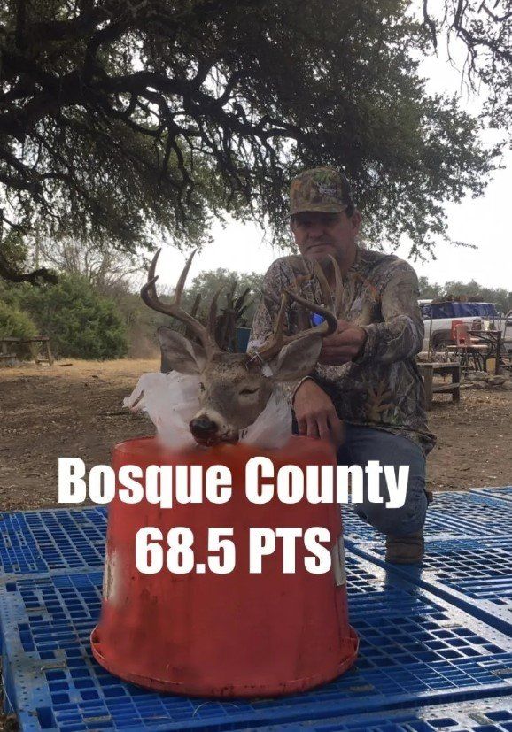 Man in camo with deer head on a bucket; Bosque County, 68.5 points.