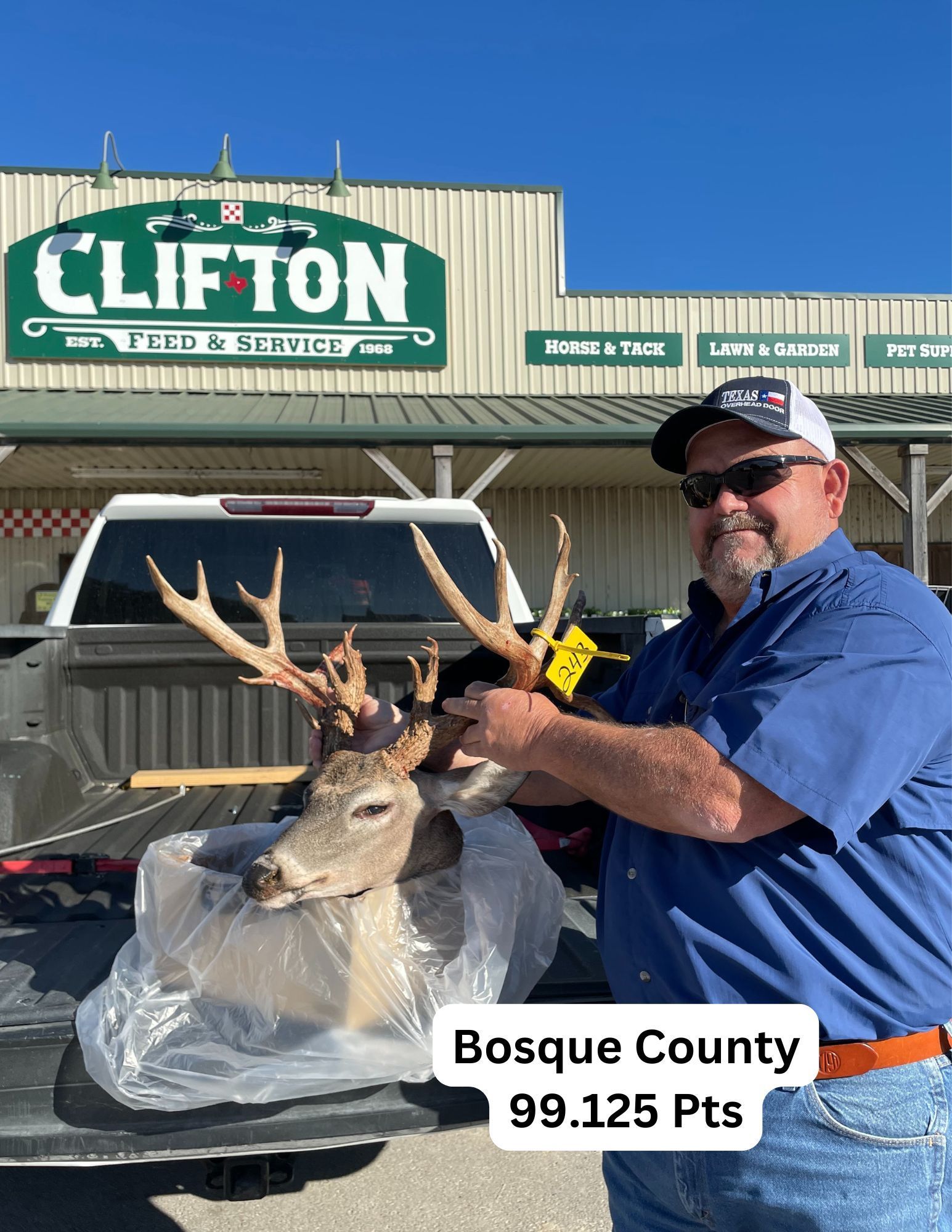 Man with deer head trophy in front of Clifton Feed & Service, Bosque County, 99.125 Pts.