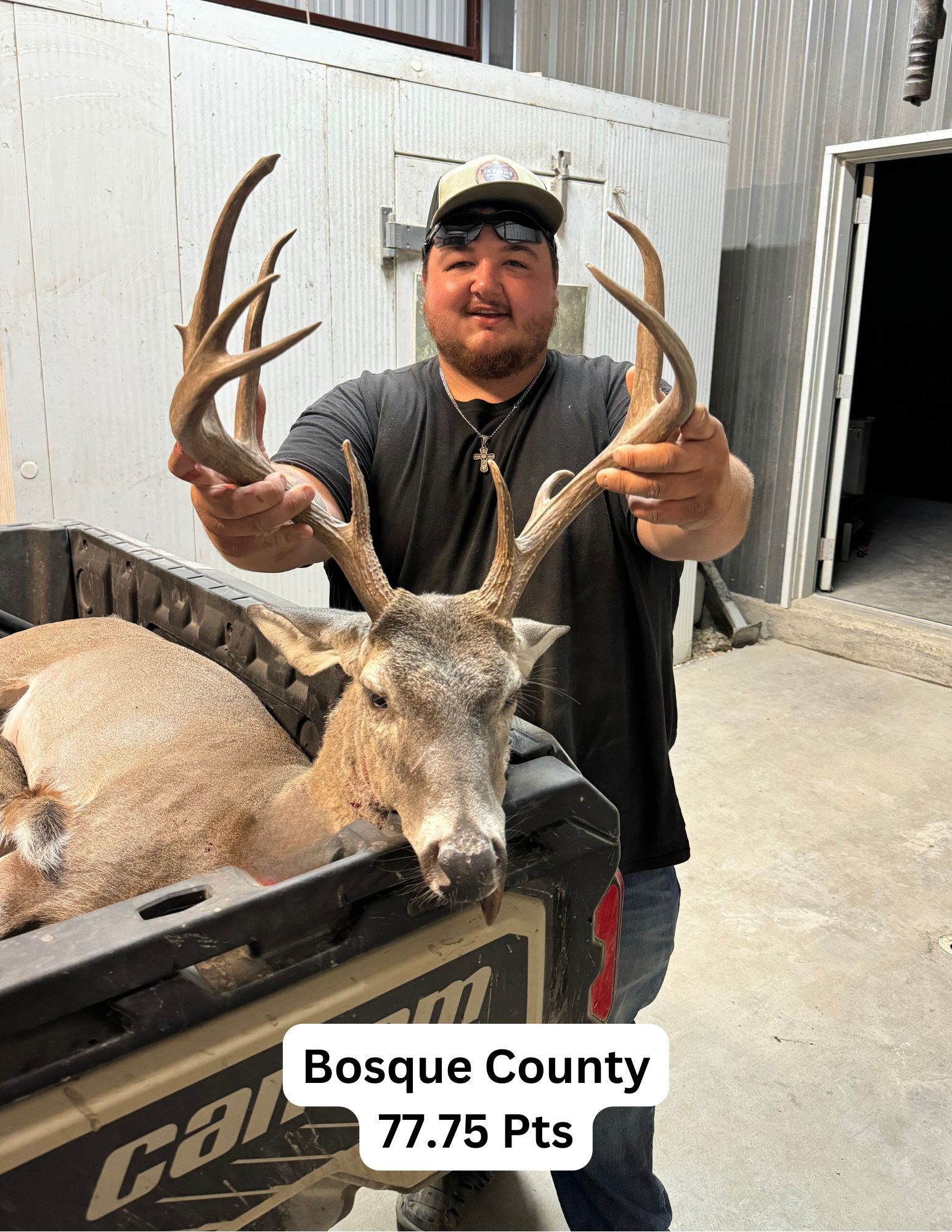 A man is holding a deer in the back of a truck.