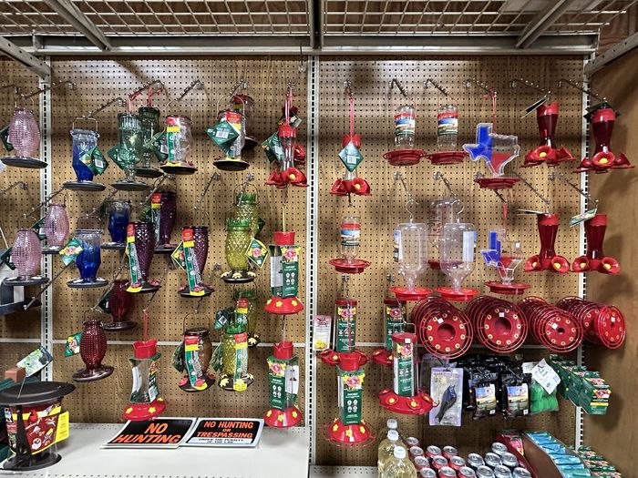 There are many different types of hummingbird feeders hanging on the wall.