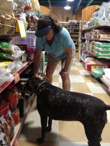 Female Dog Trainer — Clifton, TX — Clifton Feed and Service