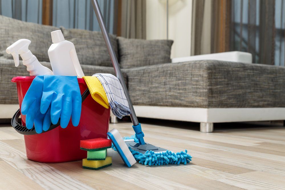 A bucket of cleaning supplies and a mop are on the floor in a living room.