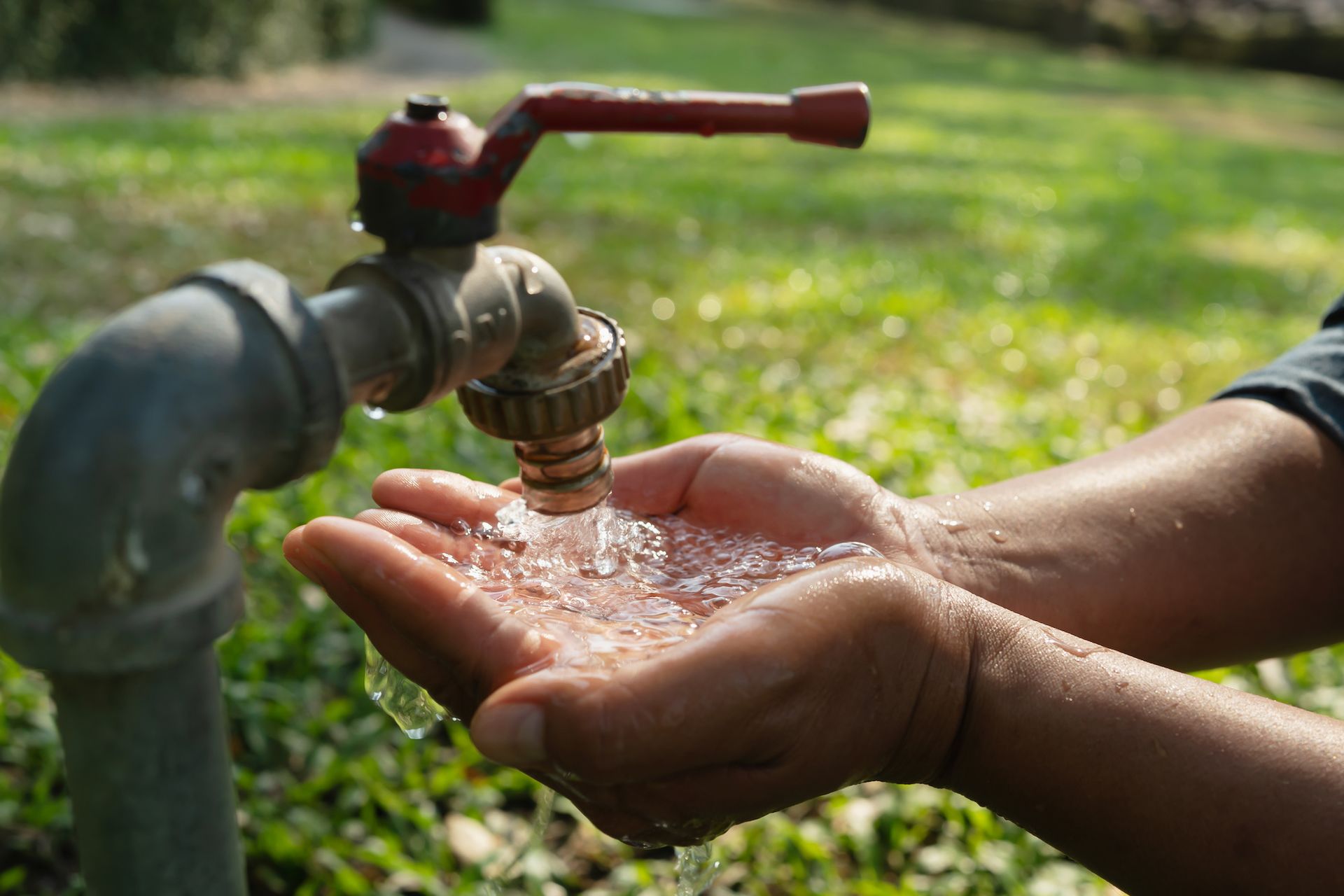 Hands cupped under an outdoor metal spigot to catch the flowing water, with a blurry green grass background.