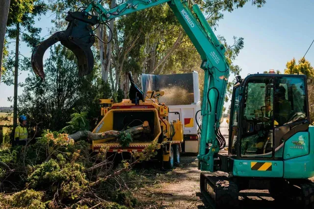 Damaged Tree | Toowoomba, Qld | Gts Toowoomba