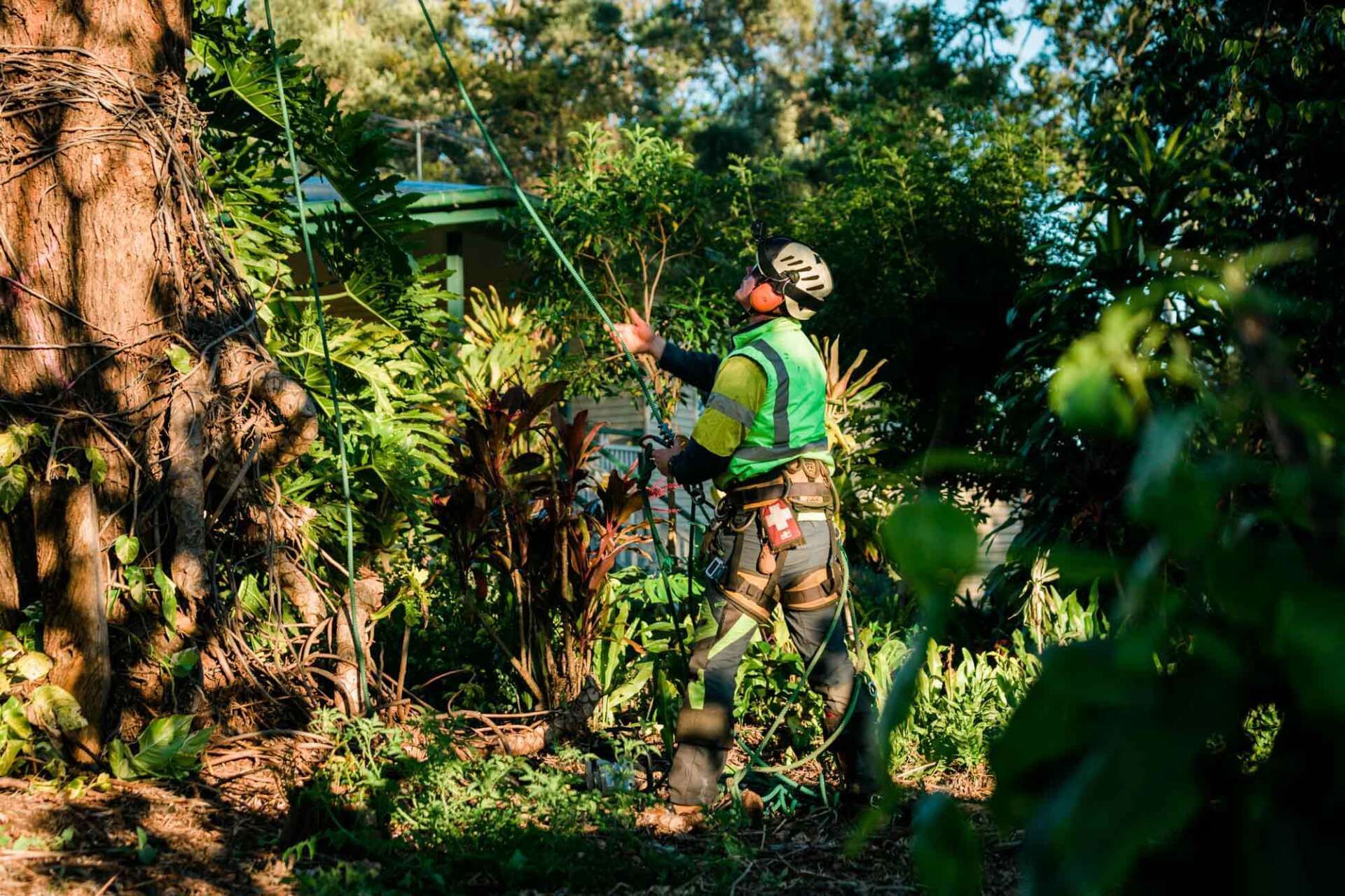 Keeps Pests Away | Toowoomba, Qld | Gts Toowoomba