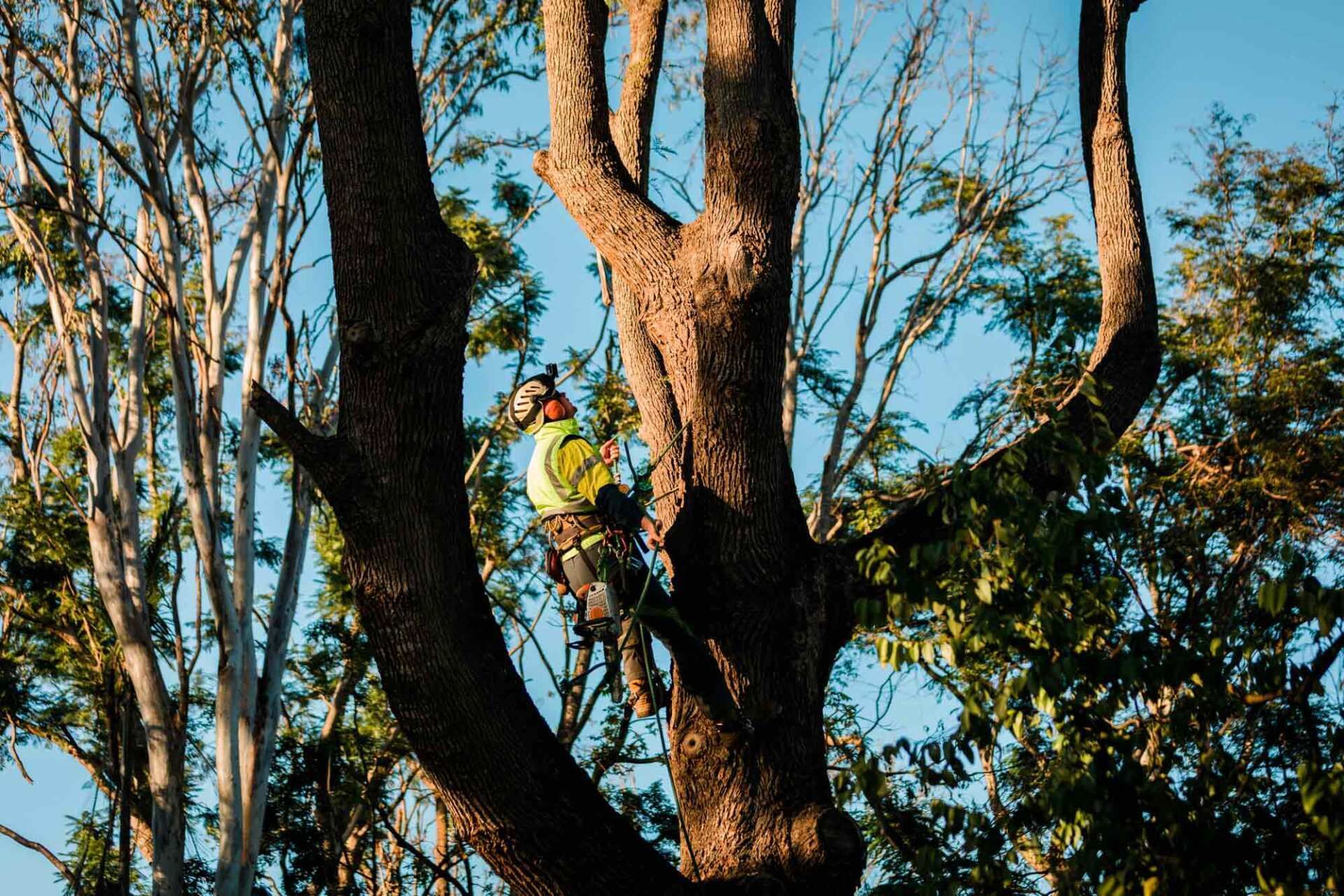 Right Location | Toowoomba, Qld | Gts Toowoomba
