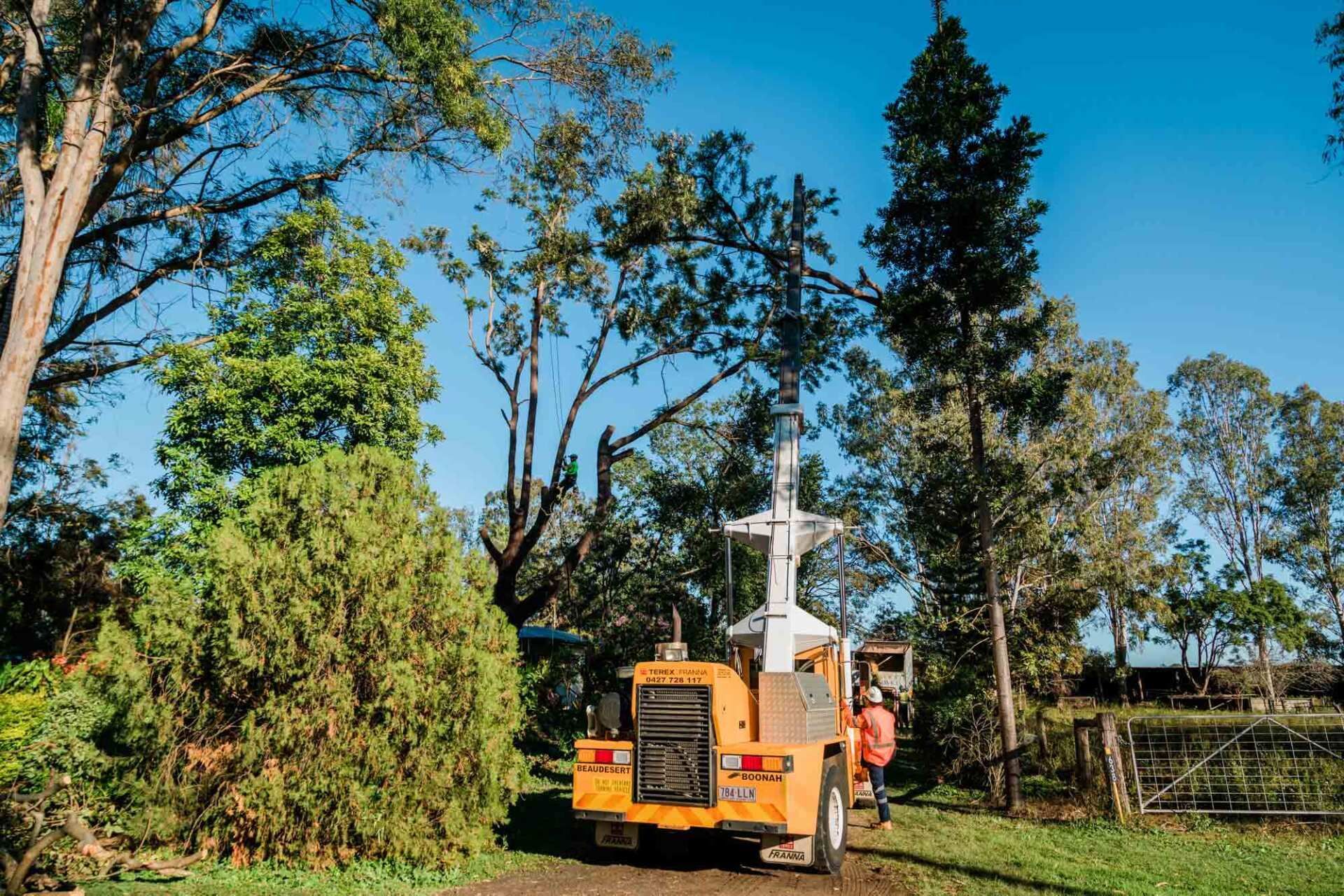 Increase Tree Health | Toowoomba, Qld | Gts Toowoomba