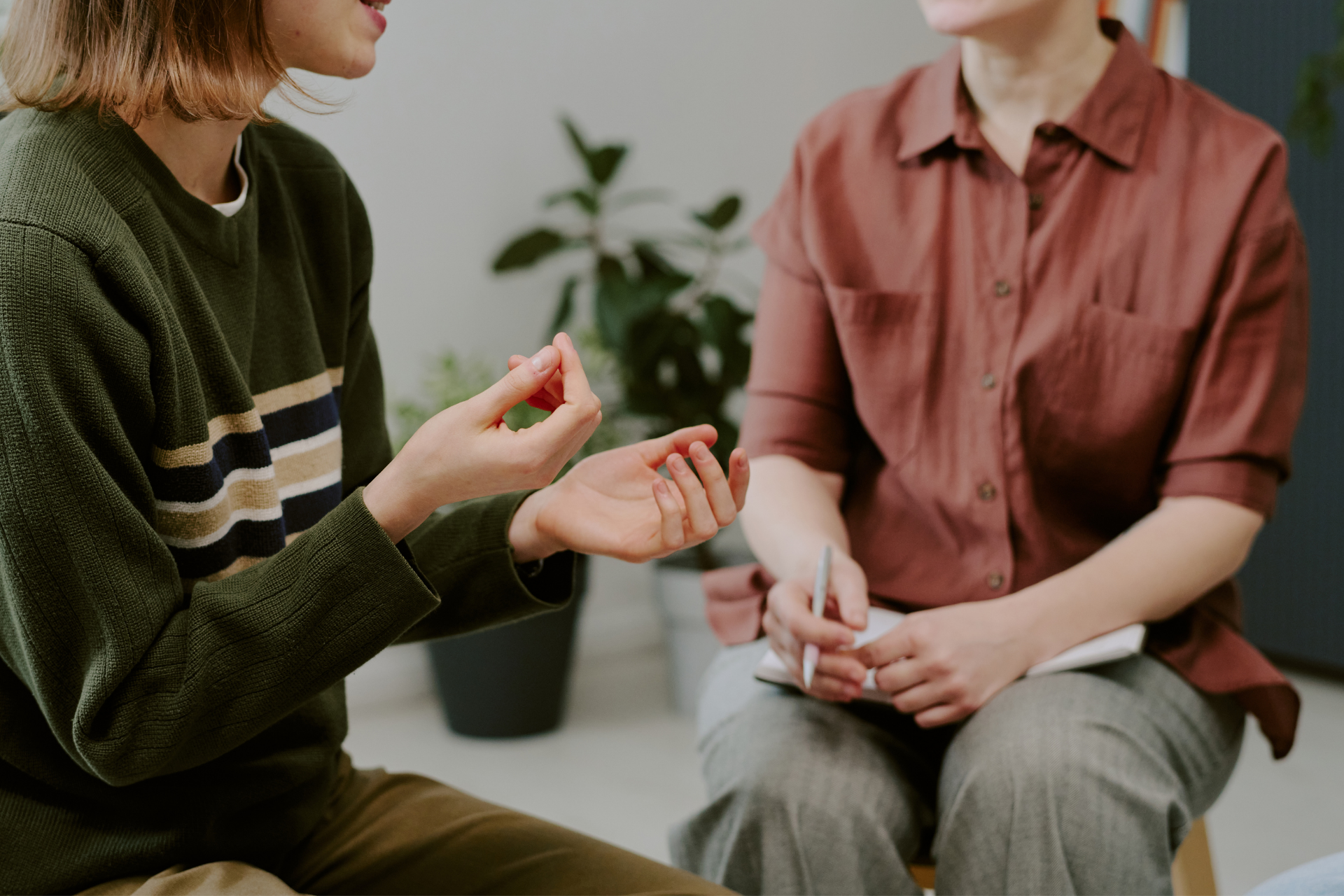 Two people in conversation, seated indoors with a potted plant in the background.