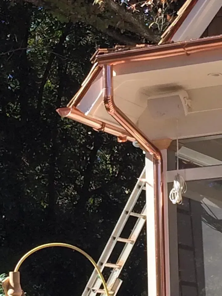 Ladder leaning against house roof gutter with copper trim, under tree branches at dusk