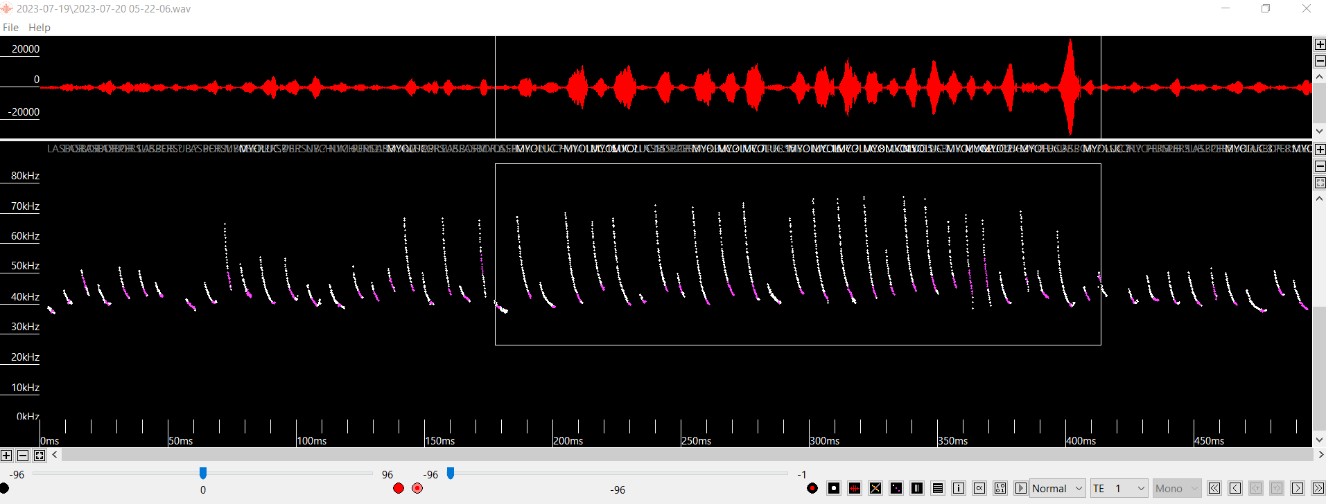 Eastern red bat acoustic call spectrogram - manual bat call vetting analysis - Volant EcoServices