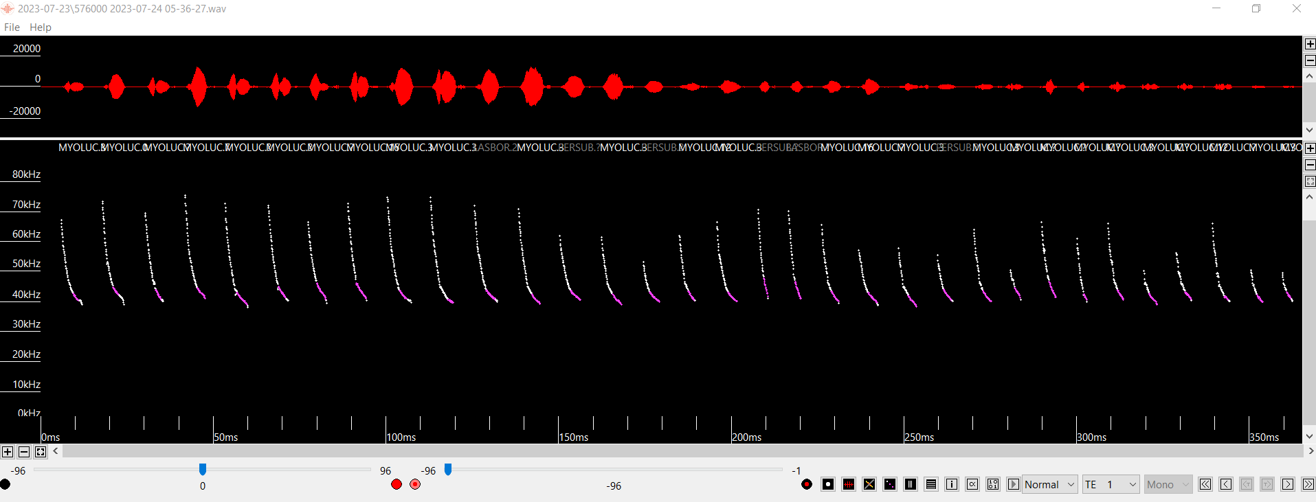 bat acoustic call data analysis and qualitative analysis - Volant EcoServices