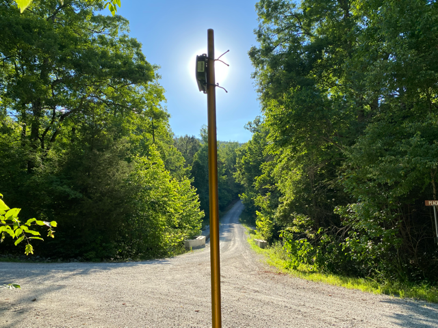 Bat acoustic monitoring survey - Volant EcoServices