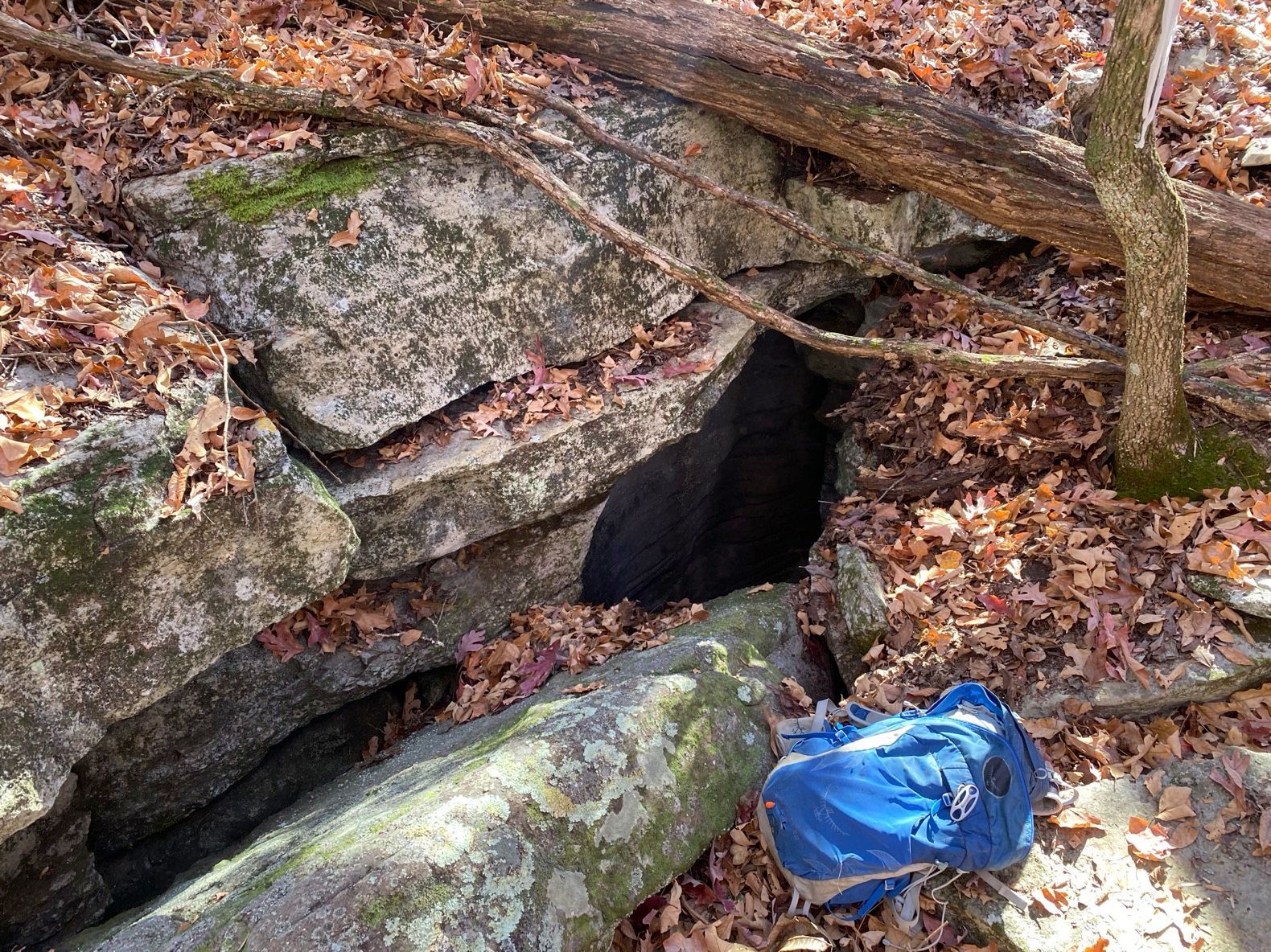 Potential bat hibernaculum cave entrance survey - bat habitat assessment - Volant EcoServices