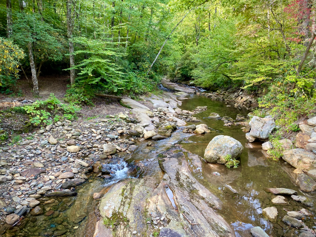 wetland & stream delineation - Volant EcoServices