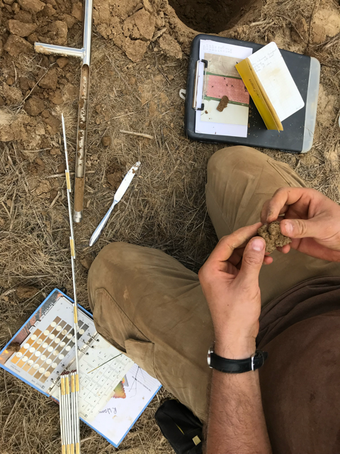 Wetland delineation soil assessment - Volant EcoServices