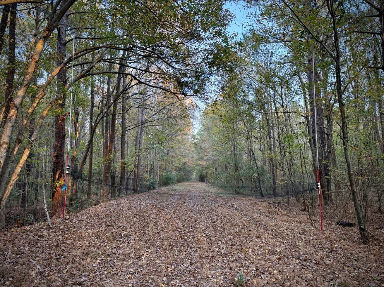 Mist net set up for bat survey | Volant EcoServices