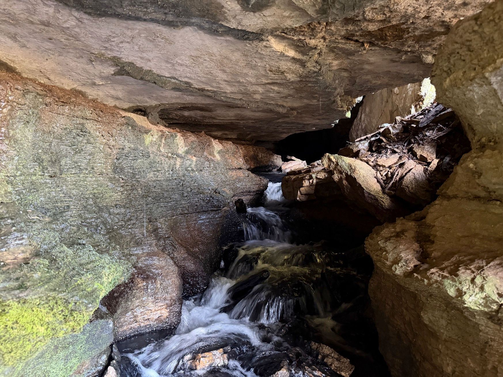 bat hibernacula survey - Volant EcoServices