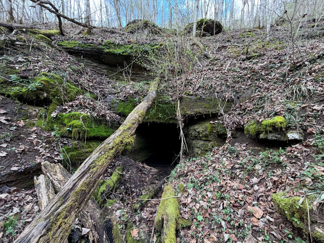 mine opening found during potential bat hiberacula survey