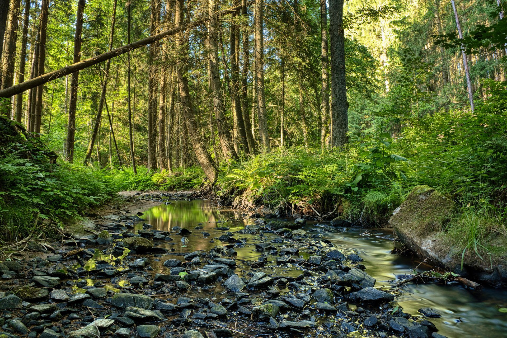 Regulatory Compliance - Volant EcoServices