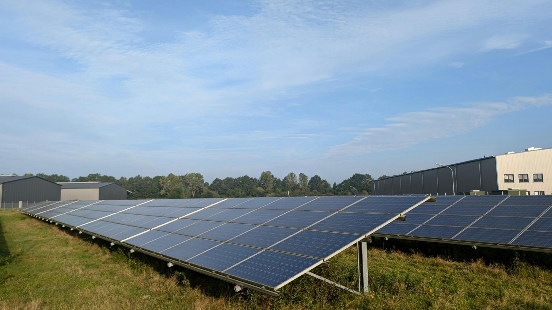 bat survey for solar renewable energy - Volant EcoServices