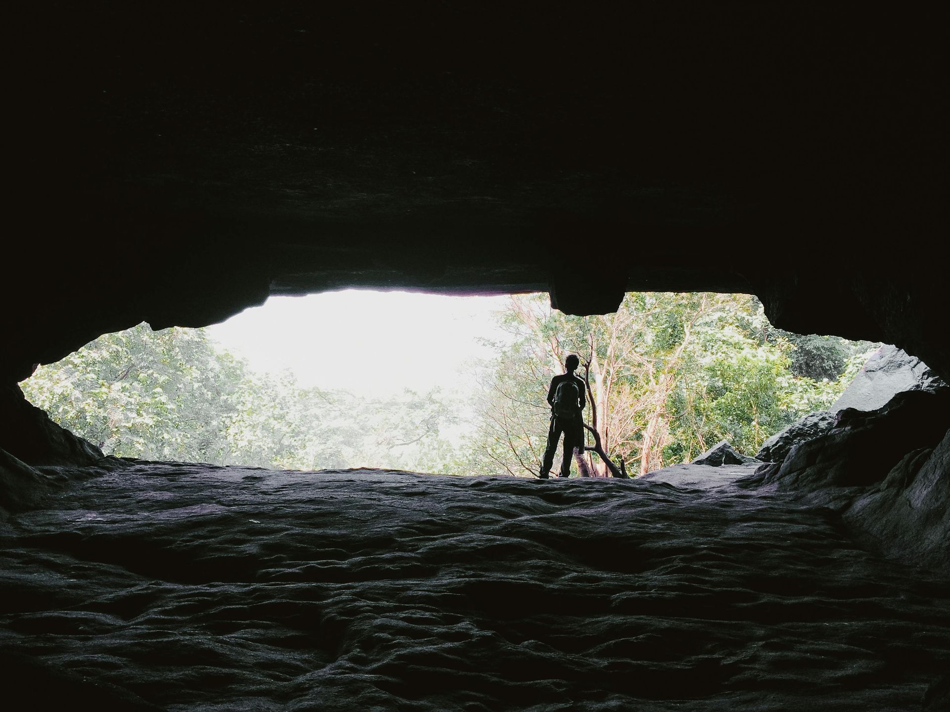 Bat Hibernaculum Assessment - Bat Conservation Plan - Volant EcoServices