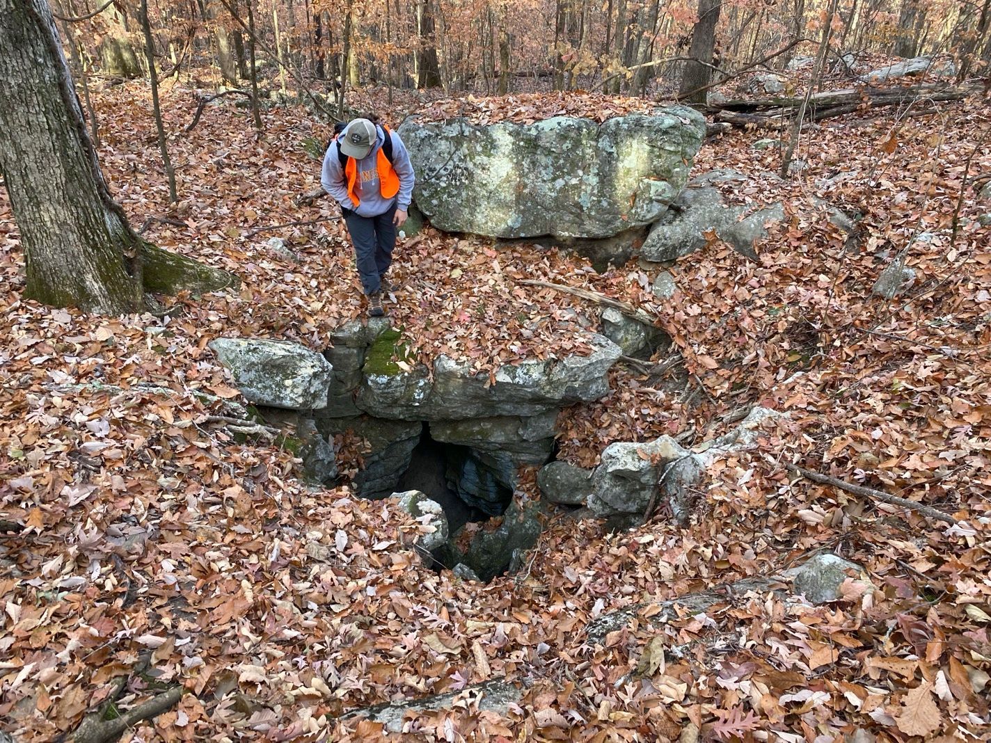 potential hibernacula survey for mining bat habitat assessment - Volant EcoServices