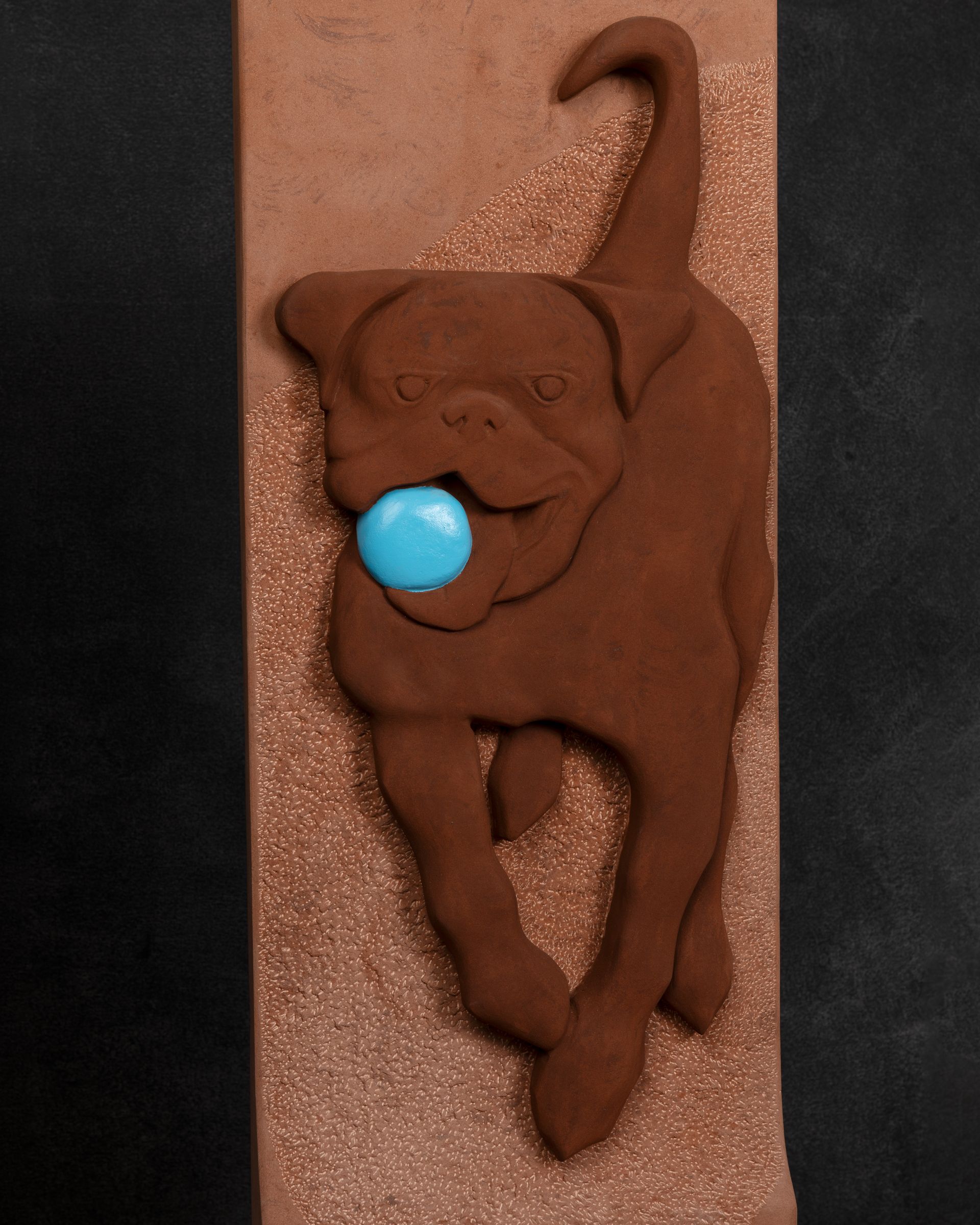 A chocolate dog with a blue ball in its mouth