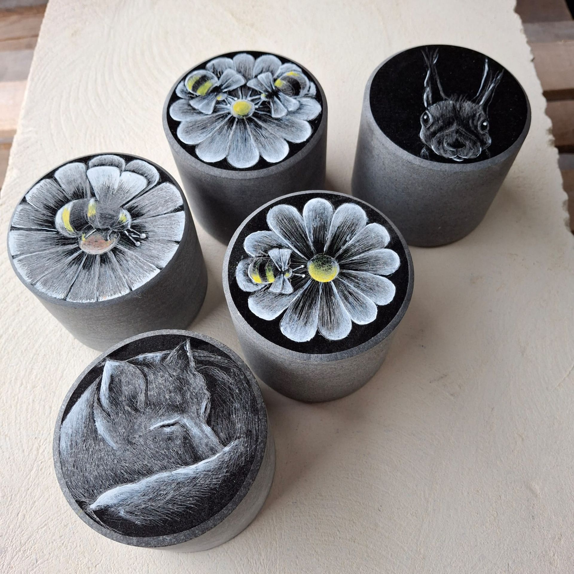 Five small black cylindrical planters holding frosted flower-shaped succulents on a light surface
