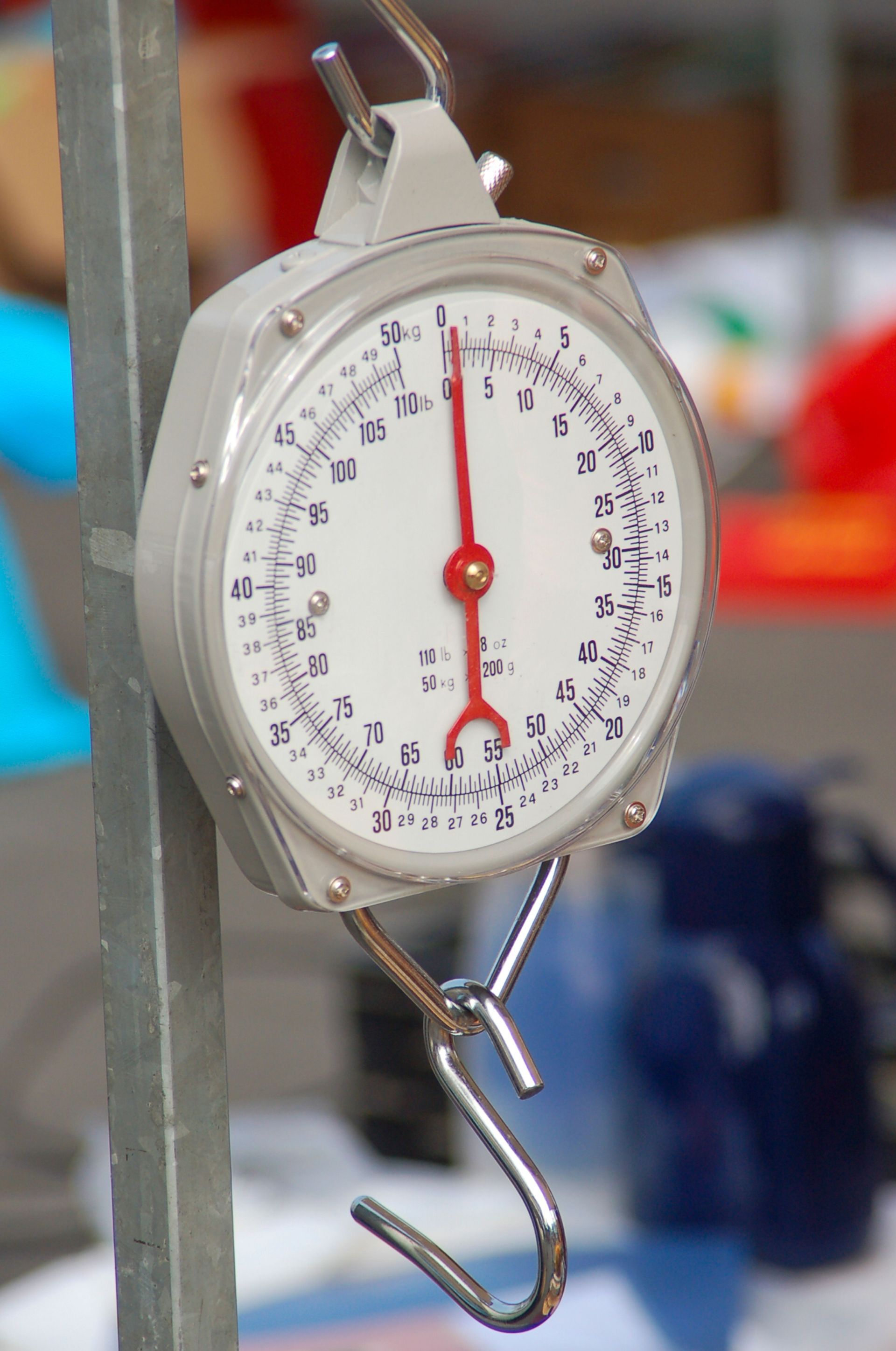 image of a scale